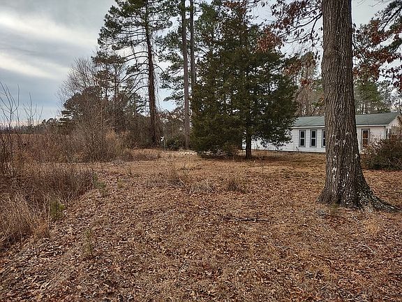 3rd image of 131 Lyre Dr