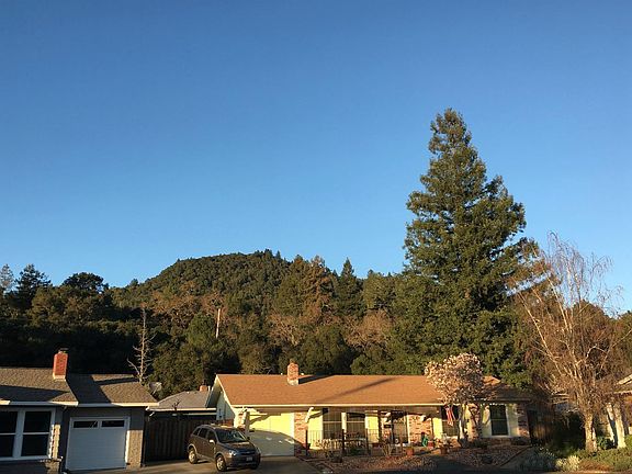 4th image of 1430 Oak Cir