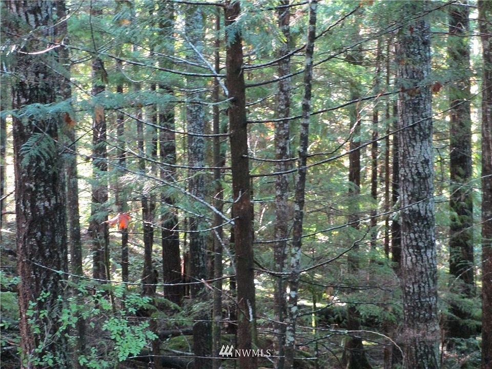 1st image of 31 N Deer Court