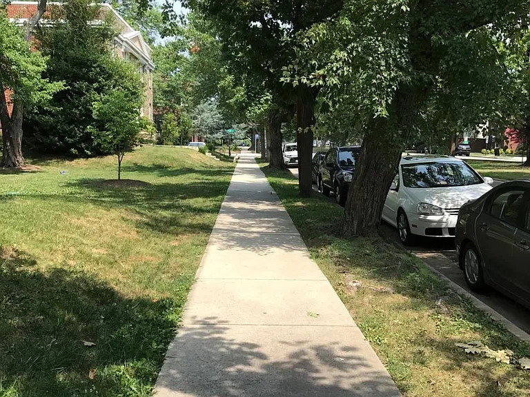 tree-lined Rosemont streets