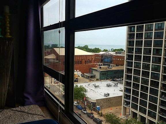 4th image of 1540 N Lasalle St #1102