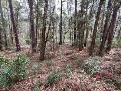 0 N Circle Dr #382, Fairhope, AL, 36532