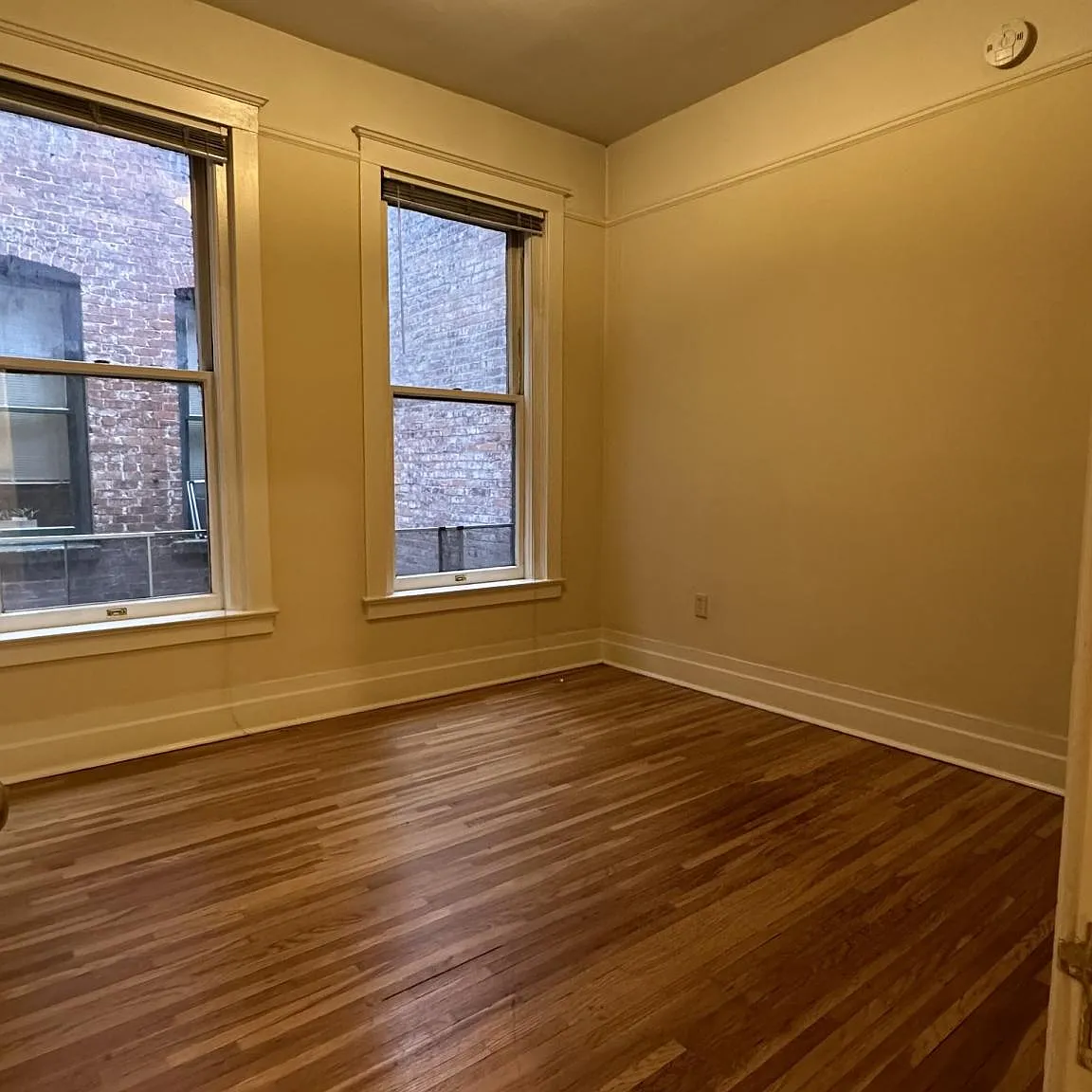 1 bed, $975 — Photo 3