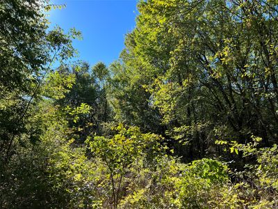 County Road 4070, Kemp, TX, 75143