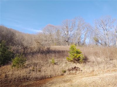 9999 S Turkey Creek Rd #D, Leicester, NC, 28748
