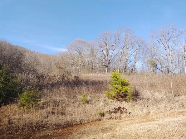 9999 S Turkey Creek Rd #D, Leicester, NC 28748