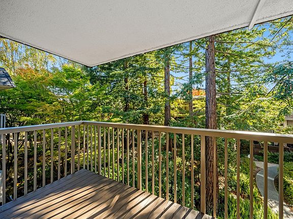 3rd image of 1334 Shelter Creek Ln