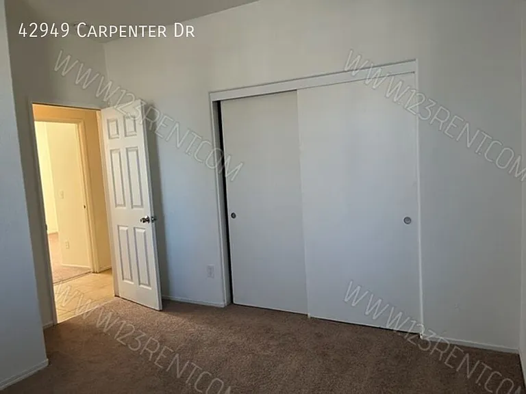 42949 Carpenter Dr — Photo 21