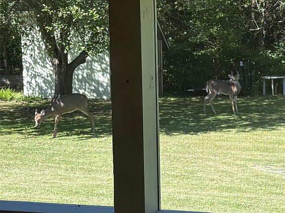 4th image of 8150 Runyan Lake Rd