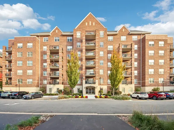 390 W Mahogany Ct Unit 406, Palatine, IL 60067