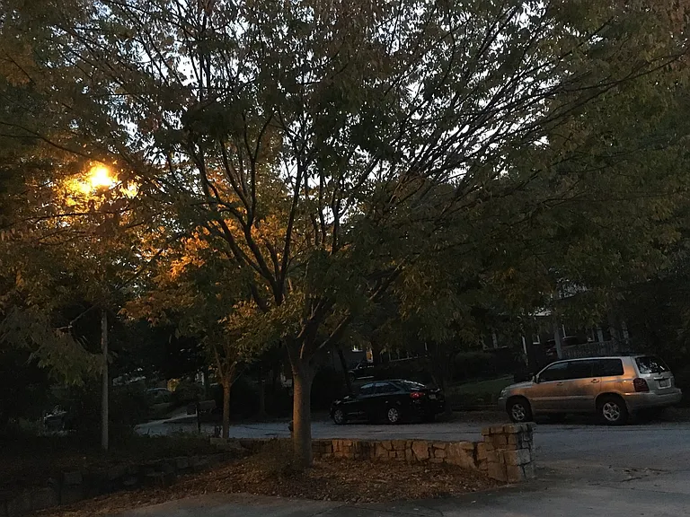 118 Greenwood Pl #D — Photo 26