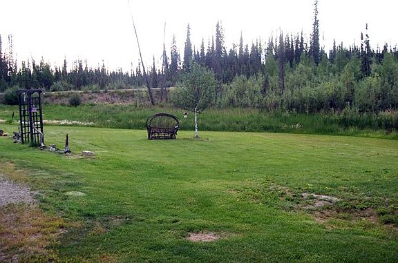 Front Yard view from window.