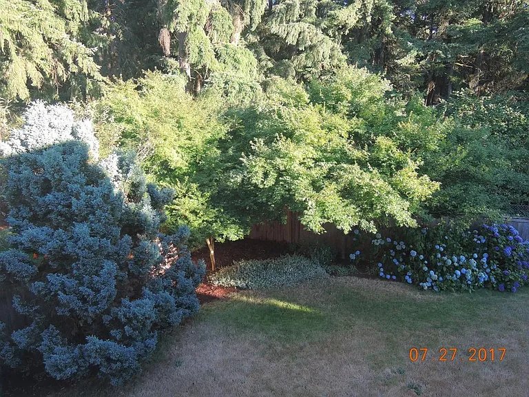 SE 25th St — Photo 20