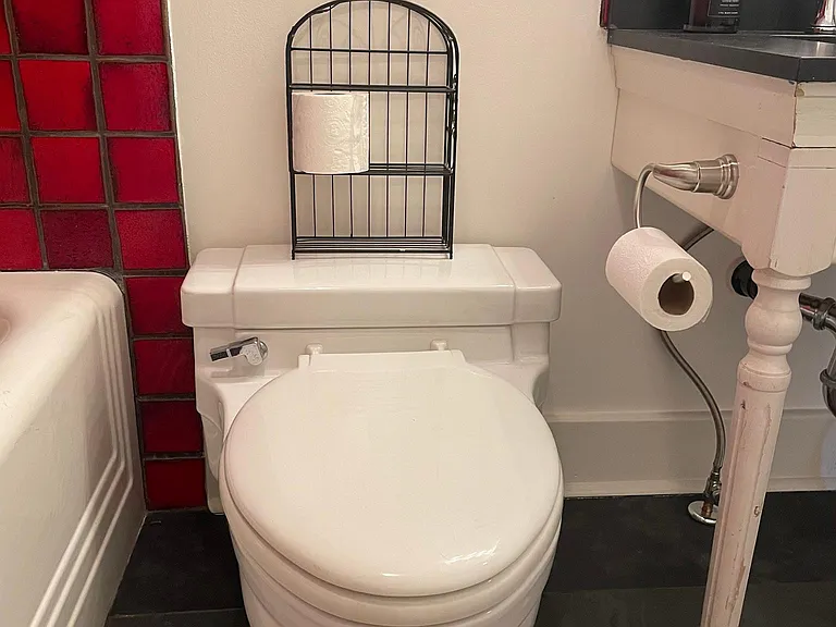 Vintage 1950's toilet