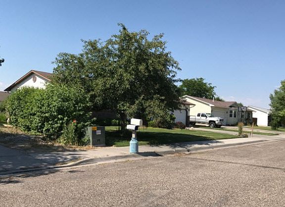 2nd image of 3600 E Jill St
