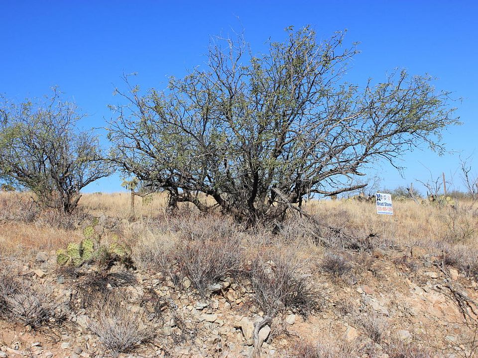 2nd image of 170 Avenida Pastor