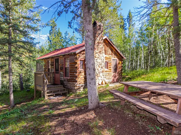 112 Usfs 383, Divide, CO 80814