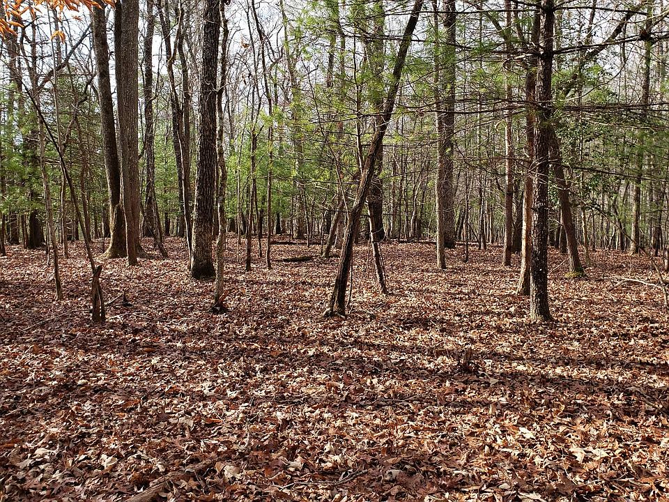 1st image of Mineral Bluff Hwy