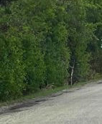 Exterior Neighborhood (street photo)