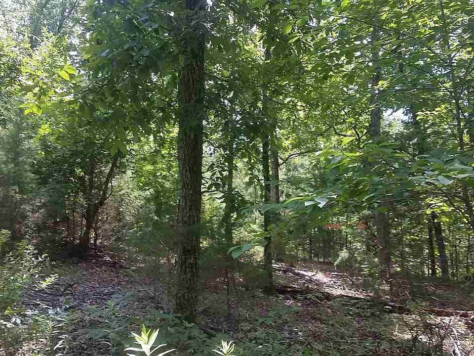2nd image of 176 Polk Rd #626