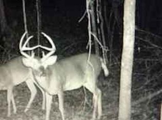 3500 Beulah Grove Rd, Lexington, MS 39095