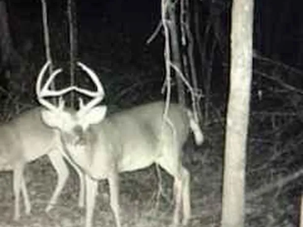 3500 Beulah Grove Rd, Lexington, MS 39095