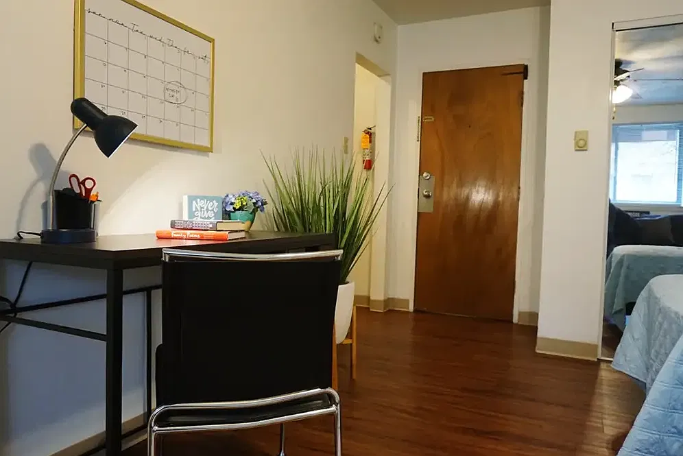 Studio, 334 sqft, $1,300 — Photo 2