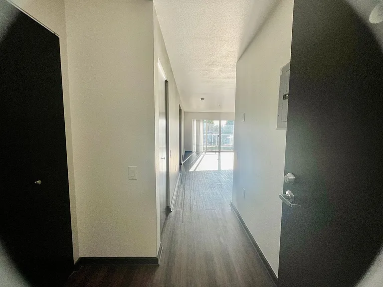Cohanim Plaza on The University Ave! — Photo 11
