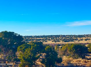 9747 Willis Hill Trl, Snowflake, AZ 85937