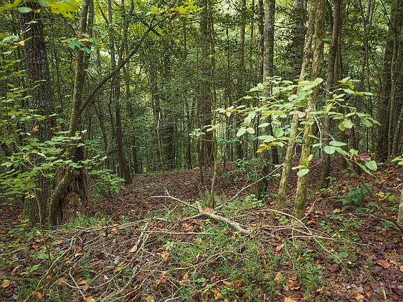 3rd image of 14-17 Conasauga Rd