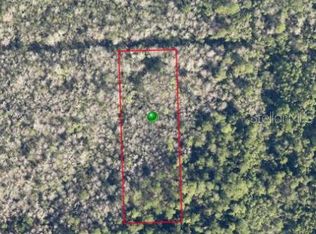 Pine St, Pierson, FL 32180