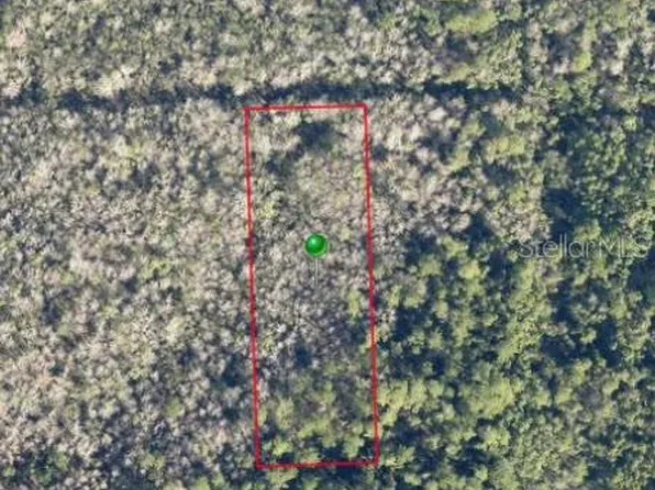 Pine St, Pierson, FL 32180