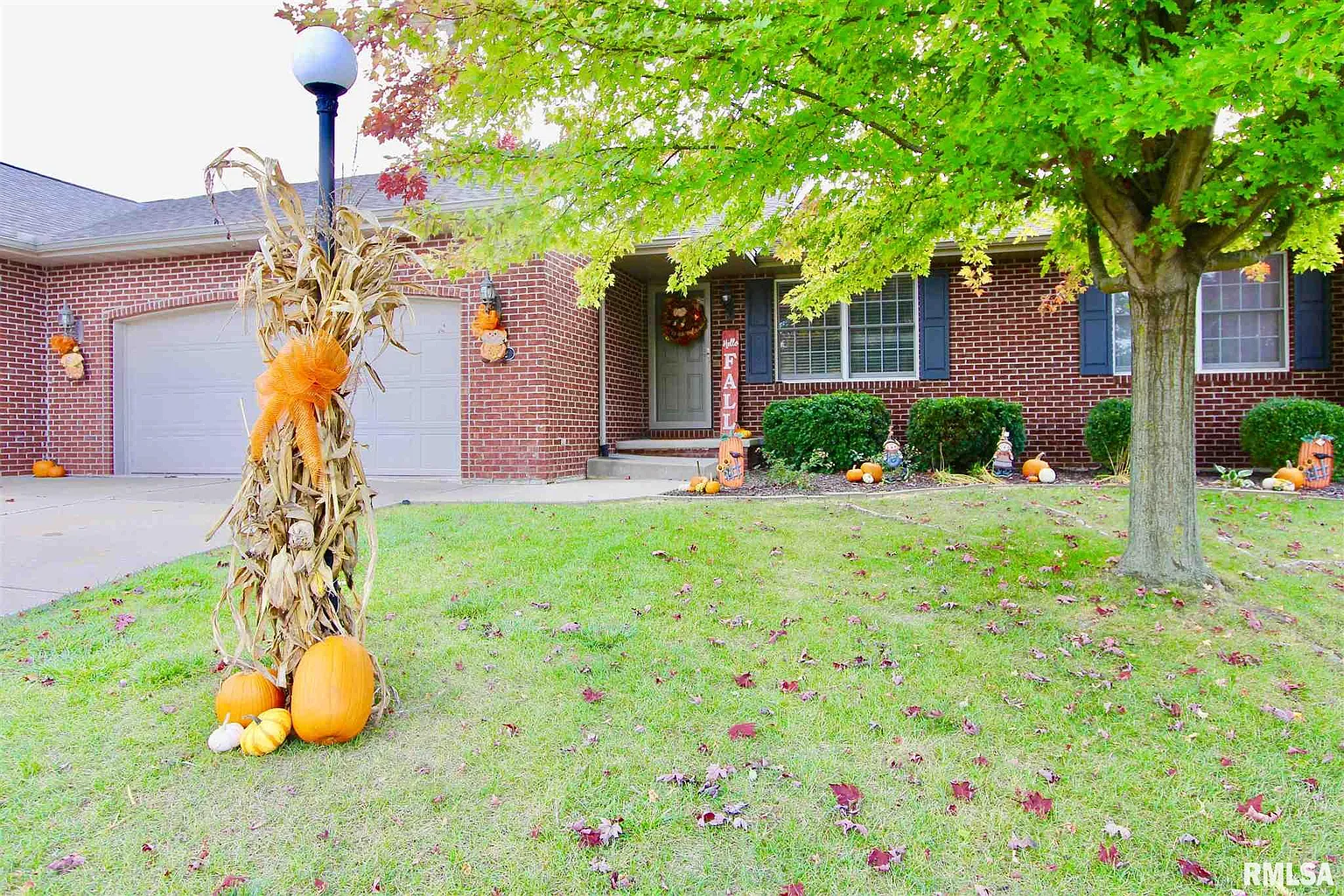 3512 Cattail Cv photo 1