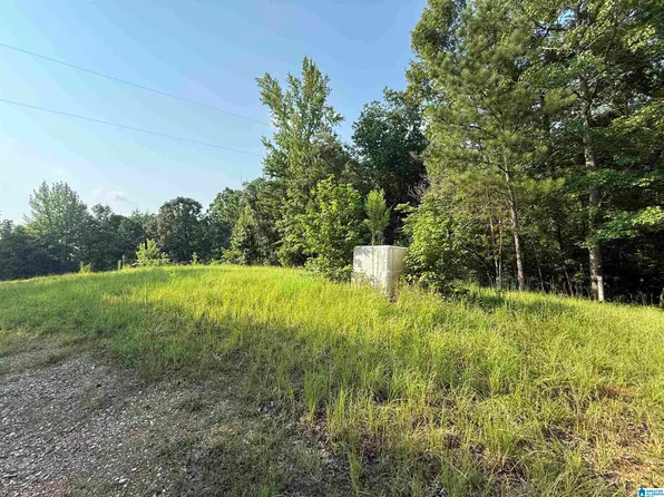349 Coosa County Road 117 #0, Goodwater, AL 35072