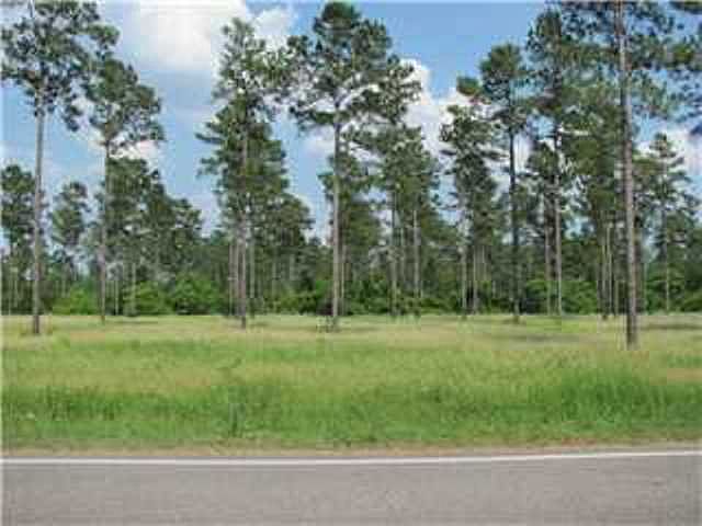 2nd image of 0 Wilmer Tanner Williams Rd