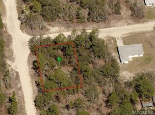 2909 Eastwood St, Inverness, FL 34452