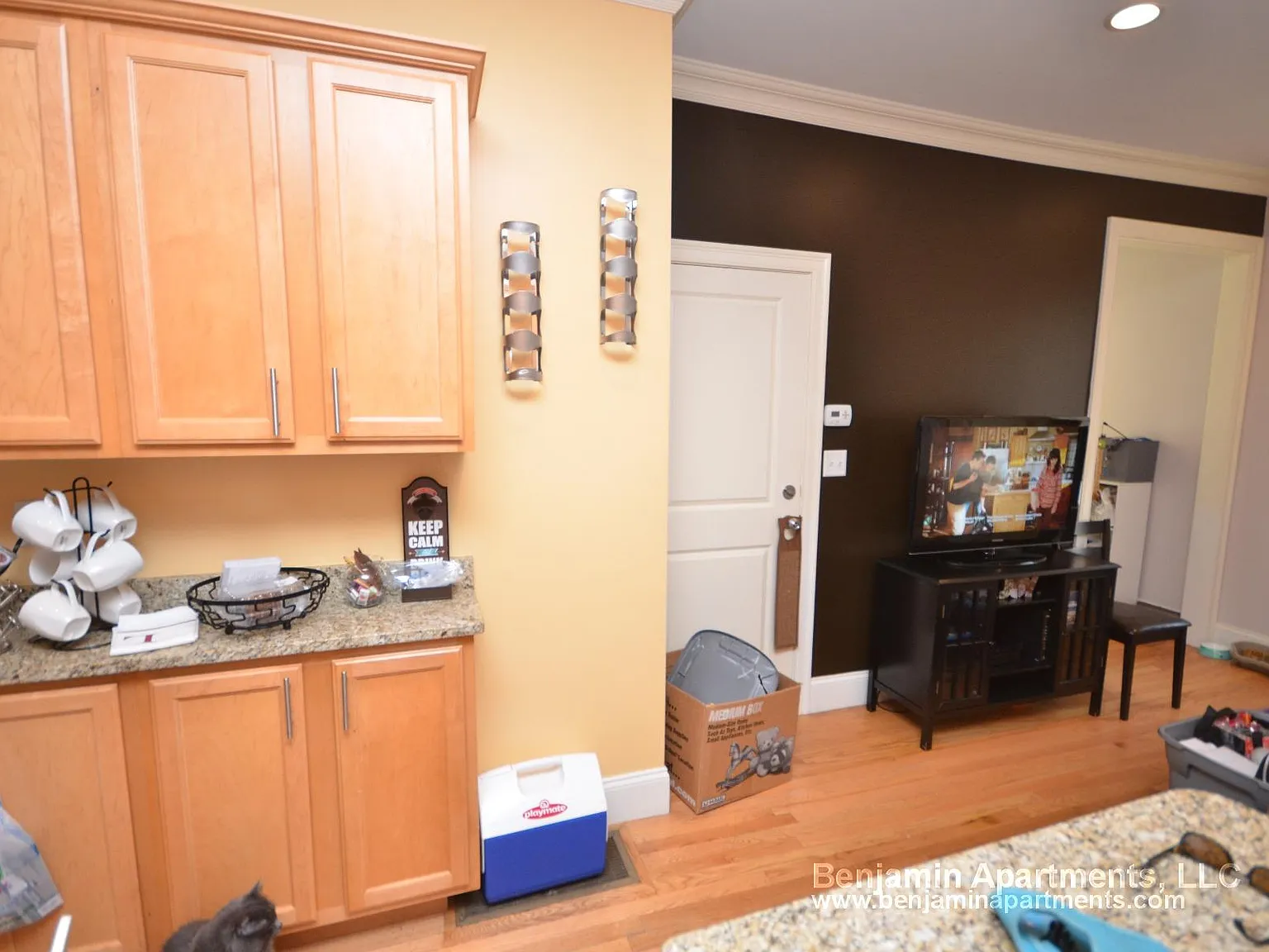 2 bed, 1000 sqft, $2,650 — Photo 3