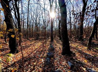 Donalds Rd LOT L-421, Effort, PA 18330