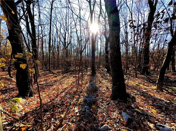 Donalds Rd Lot L-421, Effort, PA 18330