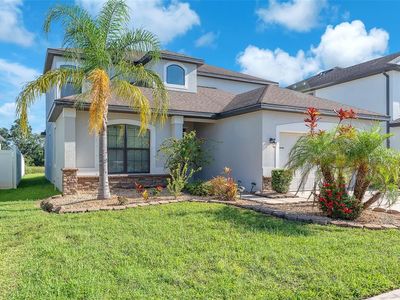 11874 Thicket Wood Dr, Riverview, FL, 33579