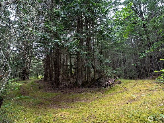 5th image of 1087 Cady Mountain Road