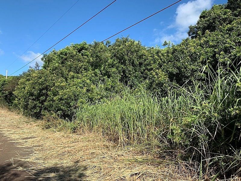 2nd image of Mauka St Lot 16