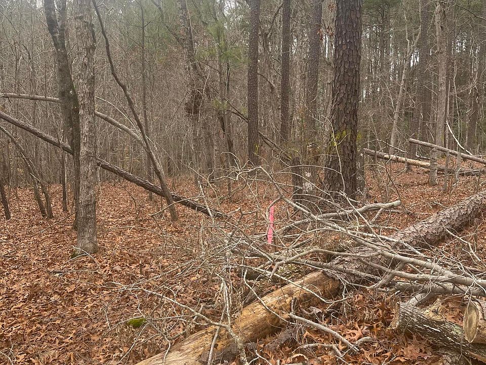 2nd image of 358 Natchez Trce #358
