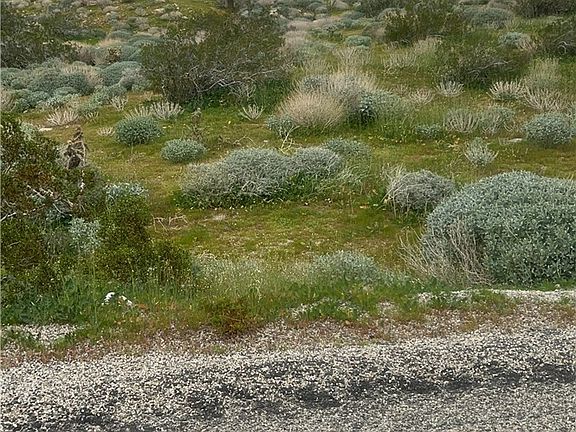 3rd image of 0 Painted Hills Rd