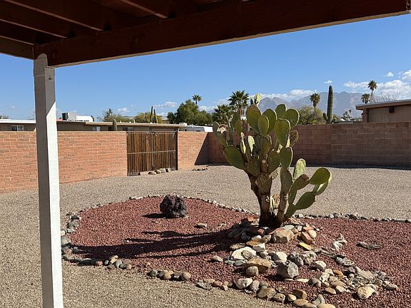 Backyard looking East