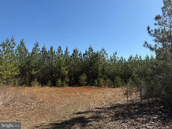 3rd image of 2A Sanders Creek Rd