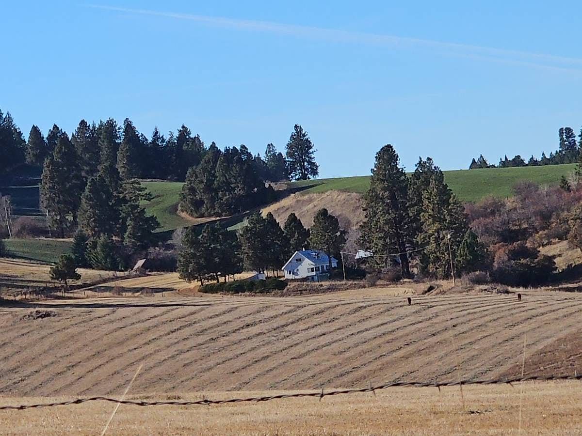 272 Ferdinand Butte Rd, Ferdinand, ID 83526 Zillow