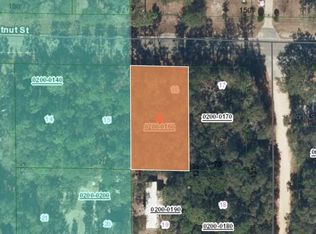 113 Chestnut St, Interlachen, FL 32148