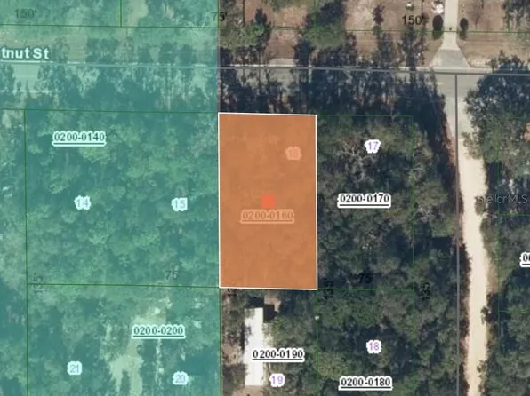 113 Chestnut St, Interlachen, FL 32148