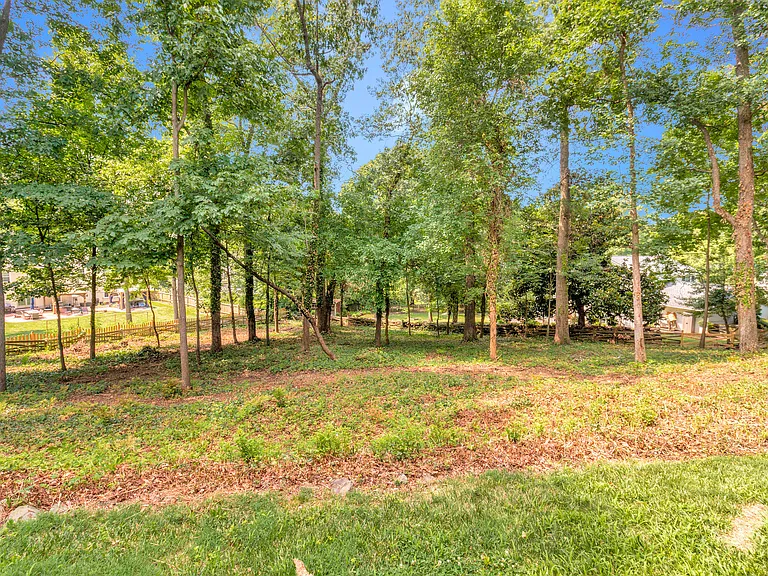 Huge Woodsy backyard!